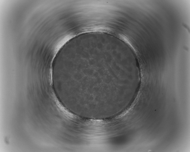 X0000100891079200807011151