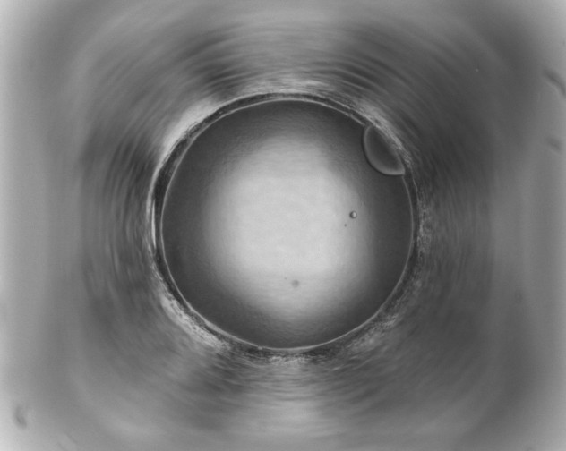 X0000100891080200807011151