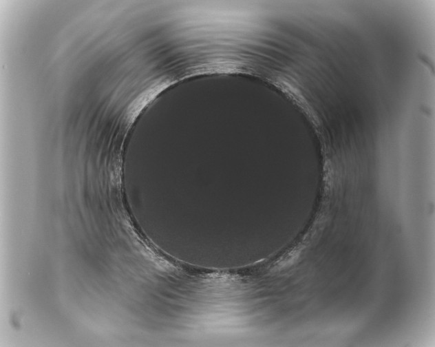X0000100891081200807011151