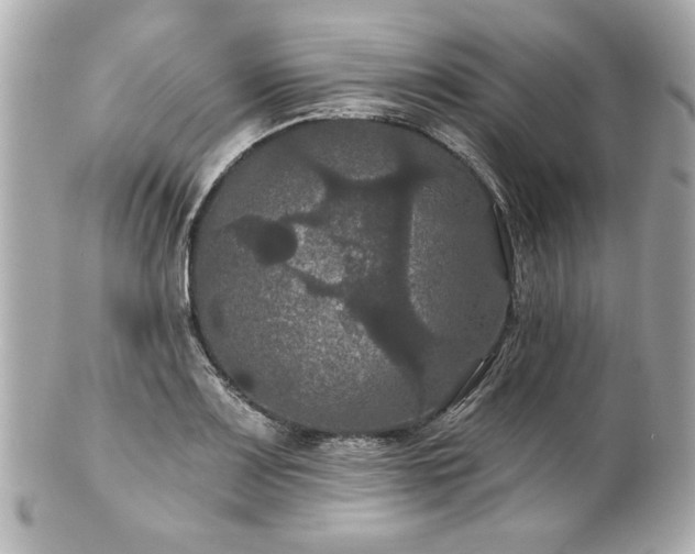 X0000100891083200807011151
