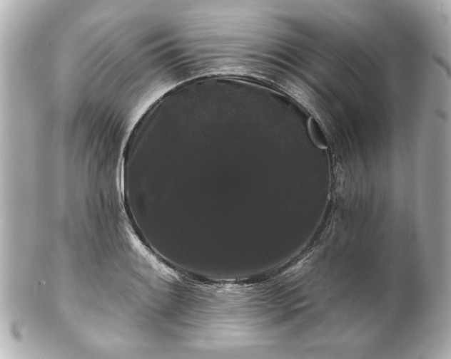 X0000100891084200807011151