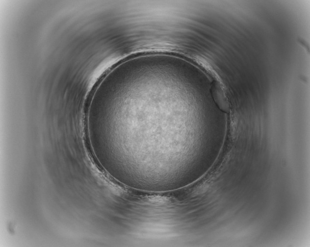 X0000100891085200807011151