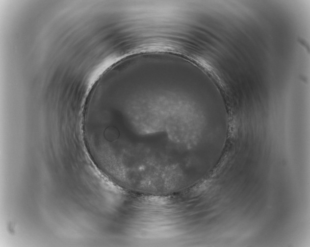 X0000100891086200807011151