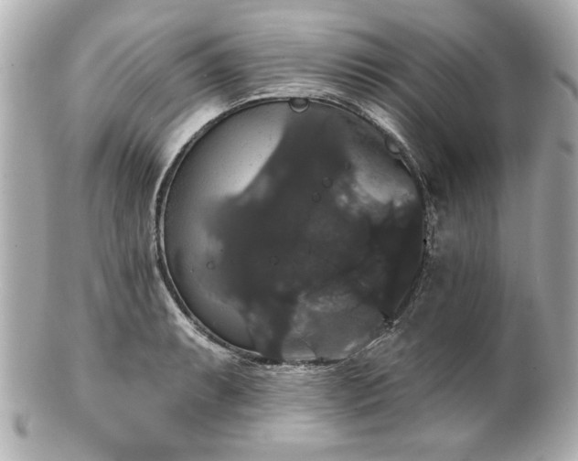 X0000100891087200807011151