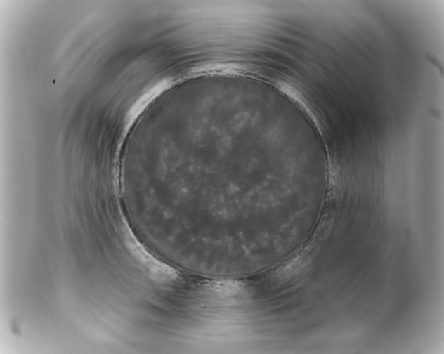 X0000100891090200807011151
