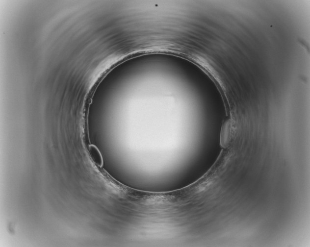 X0000100891093200807011151