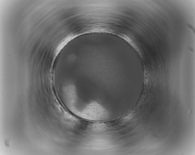X0000100891094200807011151