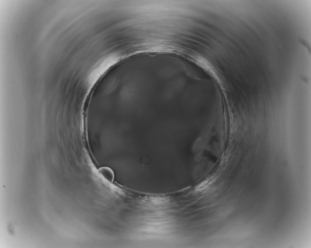 X0000100891095200807011151