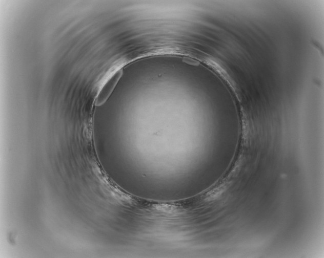 X0000100891097200807011151