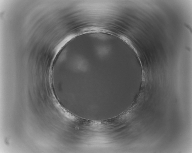 X0000100891098200807011151