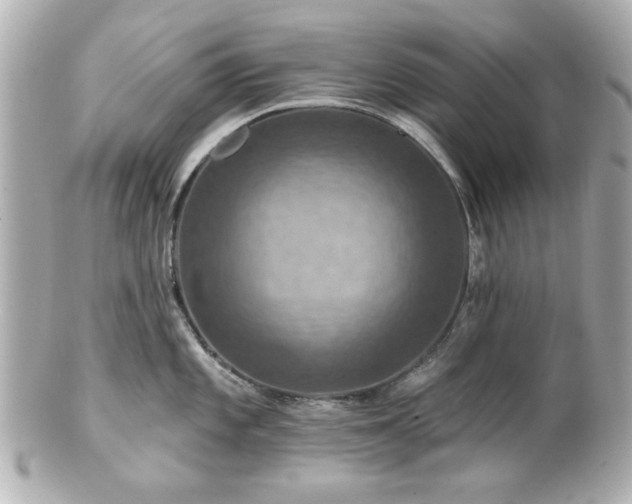 X0000100891101200807011151