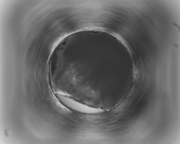 X0000100891102200807011151