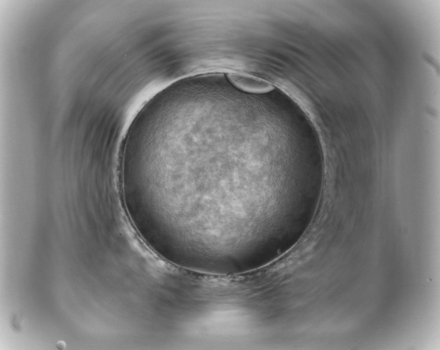 X0000100891104200807011151