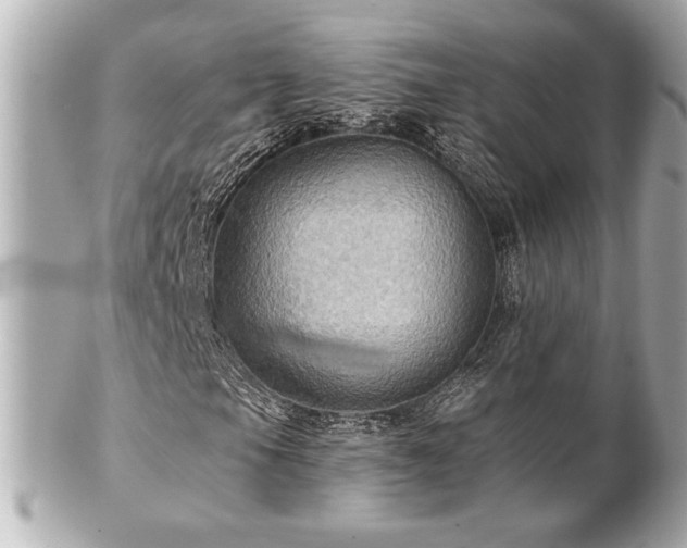 X0000100891105200807011150