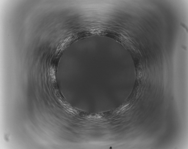 X0000100891106200807011150