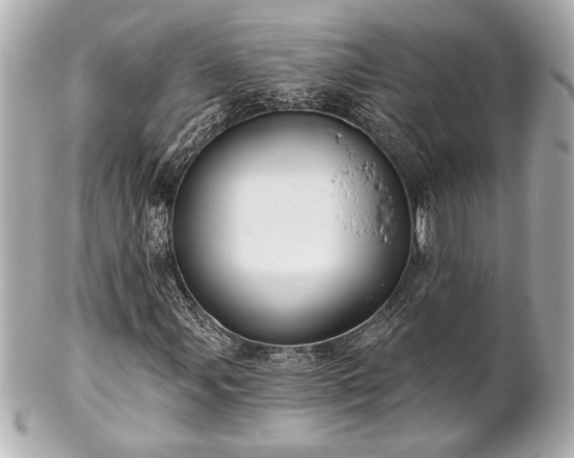 X0000100891107200807011150