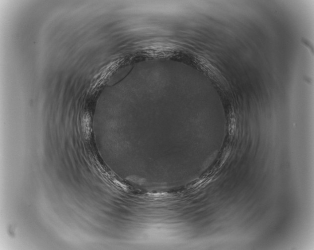 X0000100891108200807011150