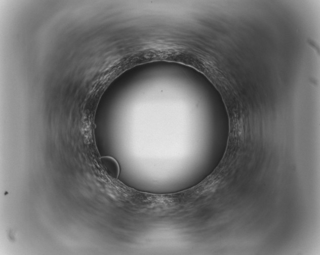 X0000100891109200807011150