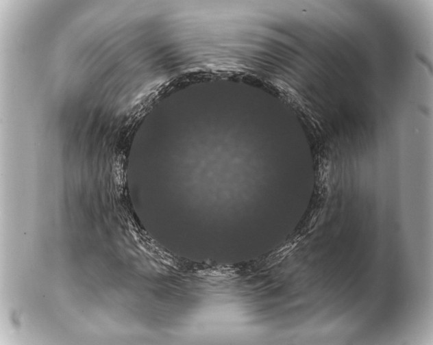 X0000100891110200807011150