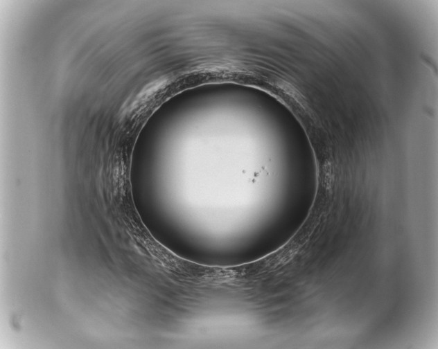 X0000100891111200807011151