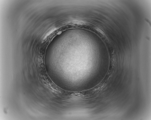 X0000100891112200807011151