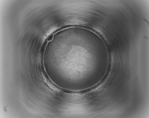 X0000100891114200807011151