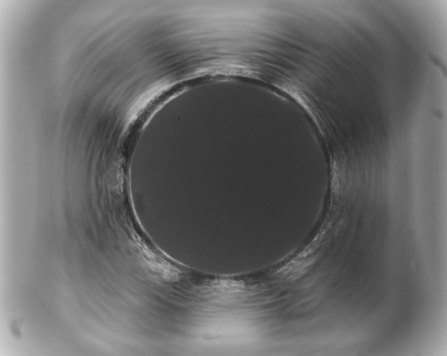 X0000100891115200807011151