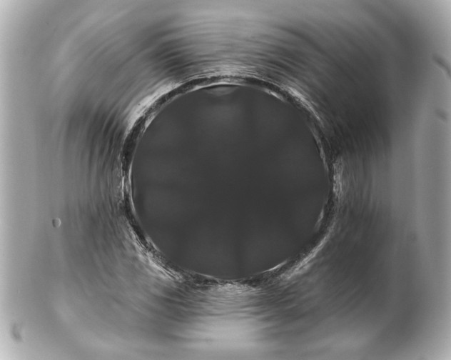 X0000100891117200807011151