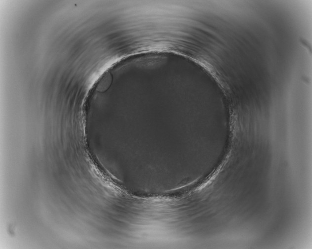 X0000100891118200807011151