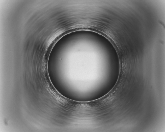 X0000100891119200807011151