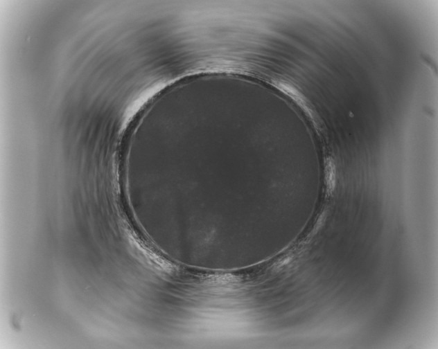 X0000100891120200807011151