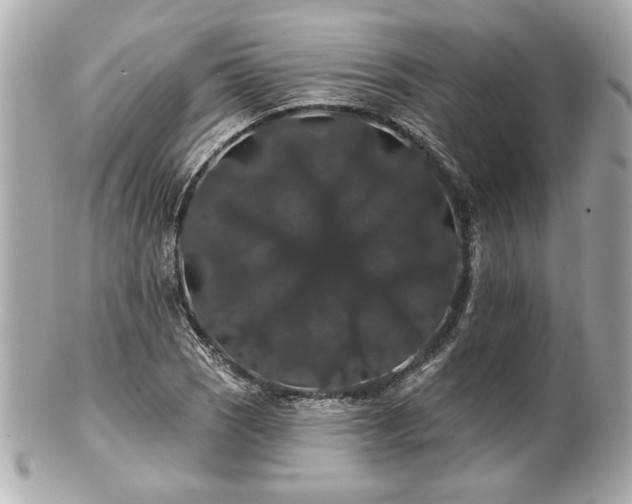 X0000100891121200807011151