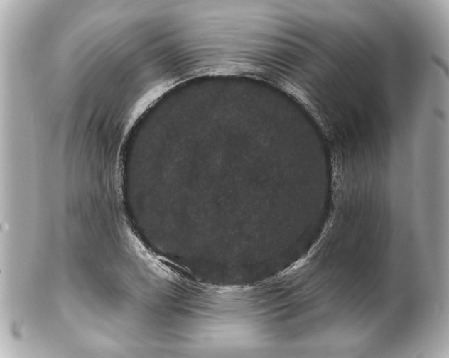 X0000100891122200807011151
