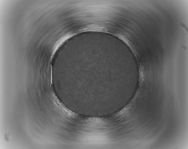 X0000100891123200807011151