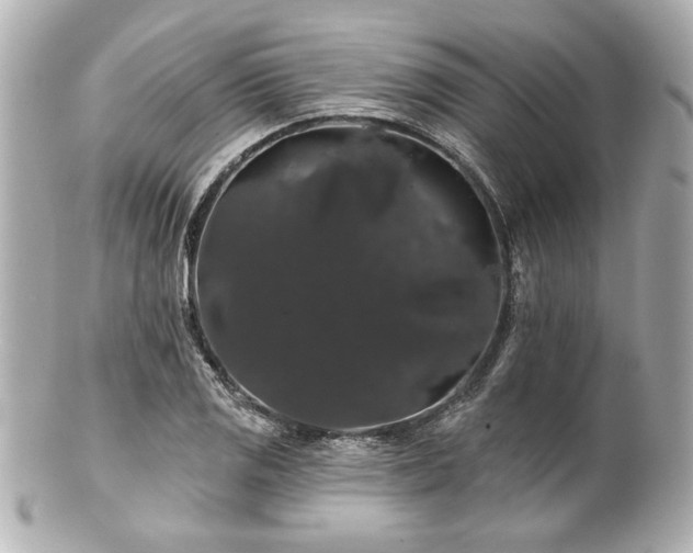 X0000100891125200807011151