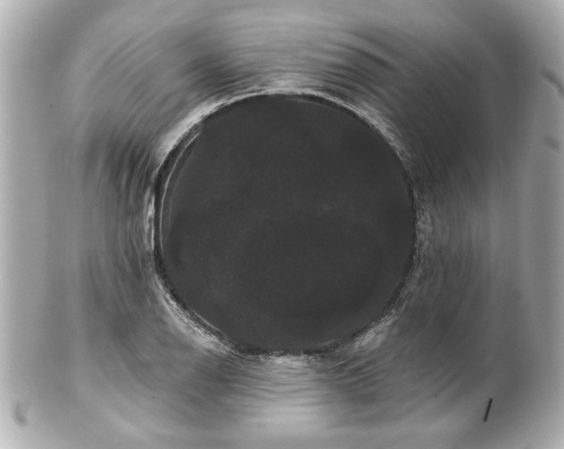 X0000100891126200807011151