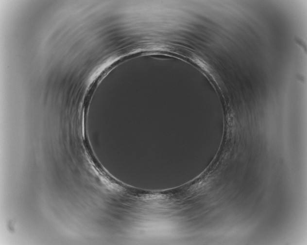 X0000100891127200807011151