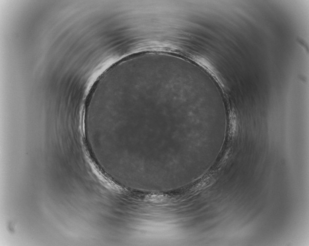 X0000100891128200807011151