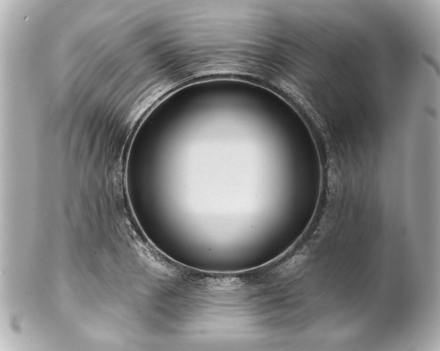 X0000100891129200807011151