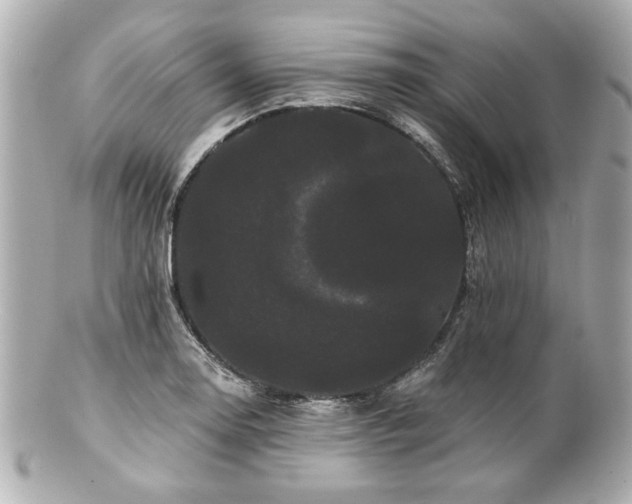 X0000100891130200807011151