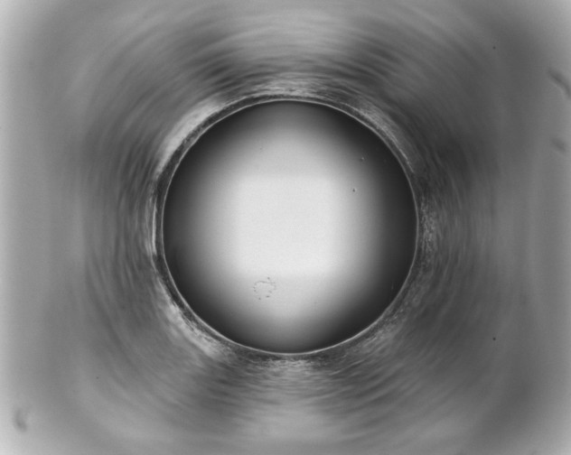 X0000100891131200807011151