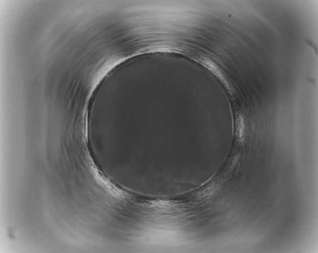 X0000100891132200807011151