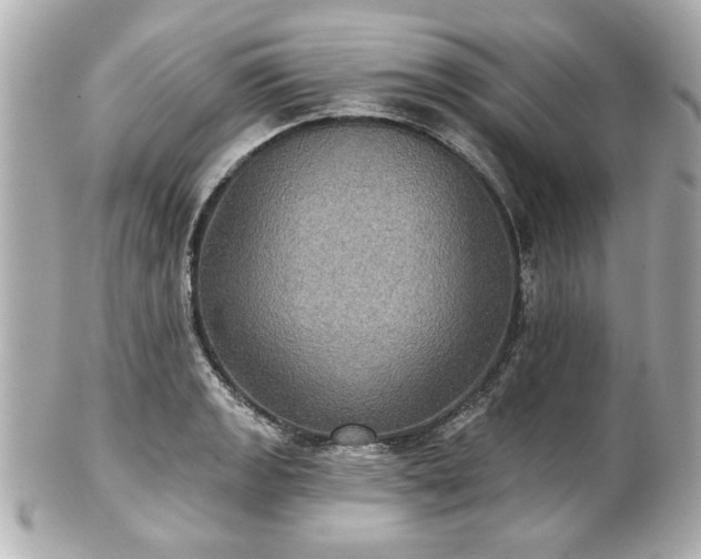 X0000100891133200807011151