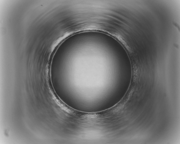 X0000100891134200807011151