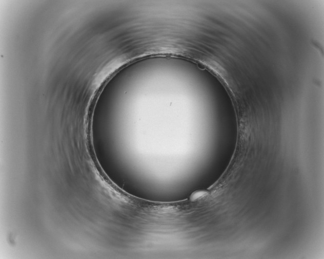 X0000100891135200807011151