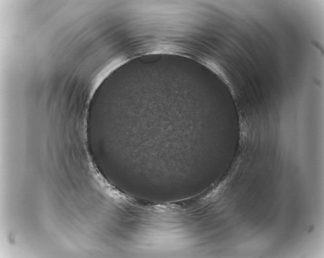 X0000100891138200807011151