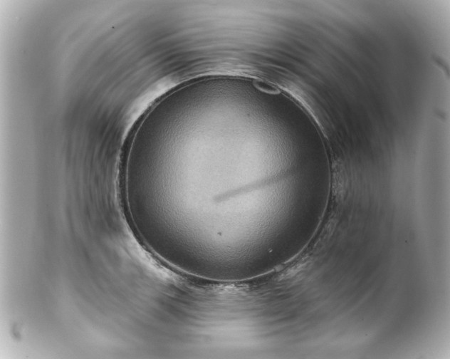 X0000100891139200807011151