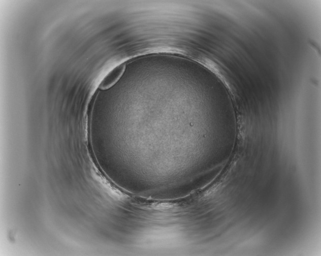 X0000100891140200807011151