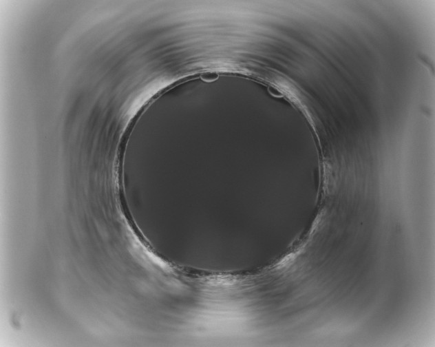X0000100891141200807011151