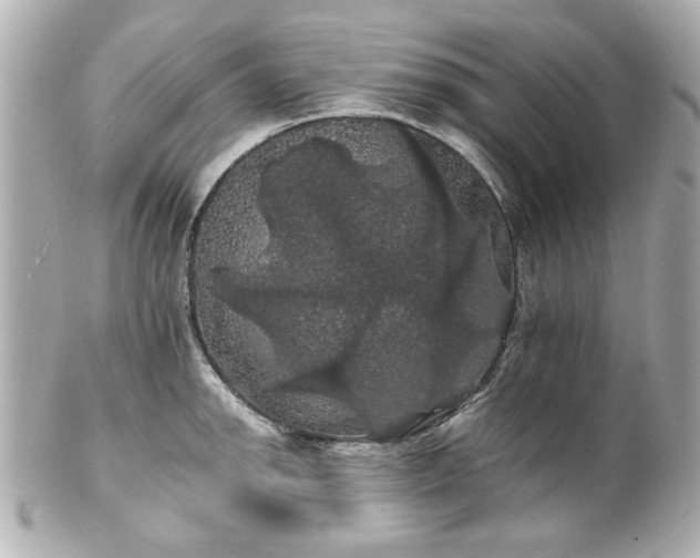 X0000100891142200807011151
